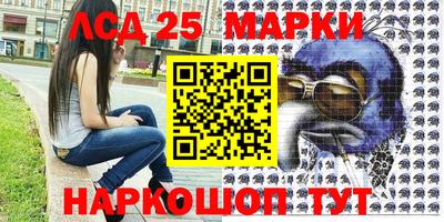 гидра Моздок
