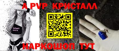 гидра Моздок