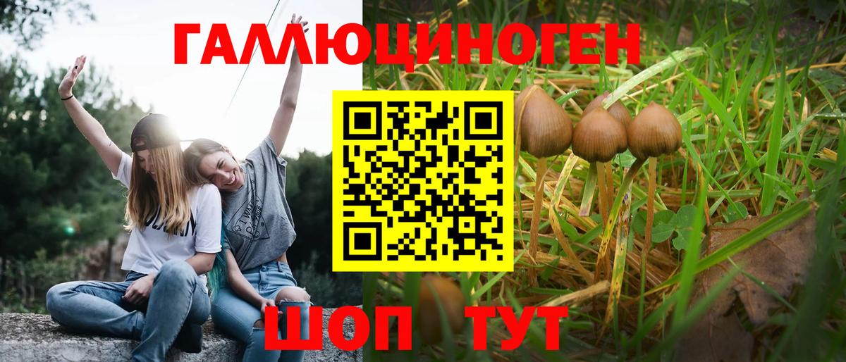 Галлюциногенные грибы Psilocybine cubensis  Вход с VPN  Чапаевск  Псилоцибиновые грибы мухоморы 